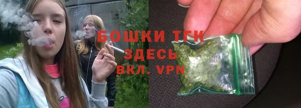spice Аркадак
