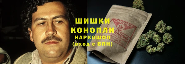 ГАЛЛЮЦИНОГЕННЫЕ ГРИБЫ Переславль-Залесский