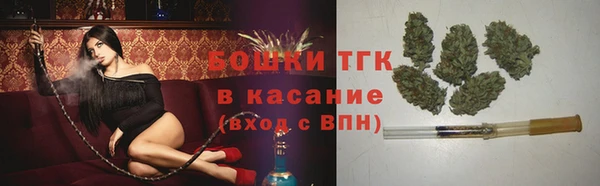 твердый Арсеньев