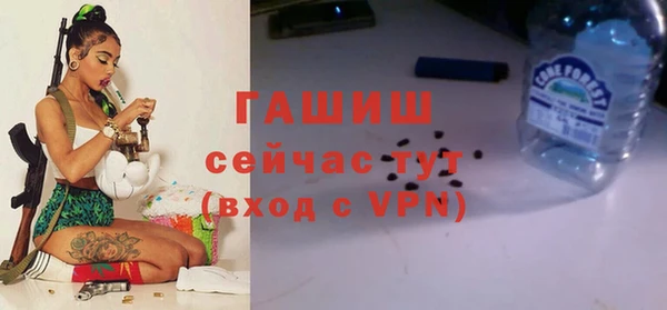 твердый Арсеньев