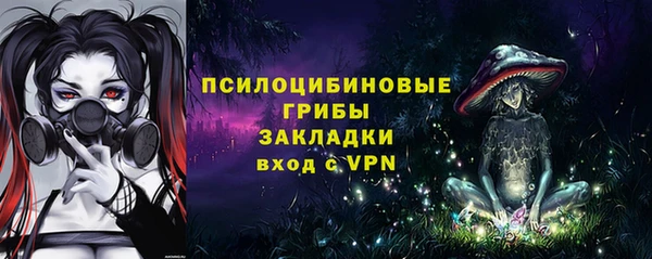 spice Аркадак