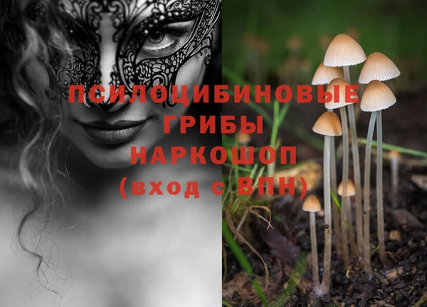 твердый Арсеньев