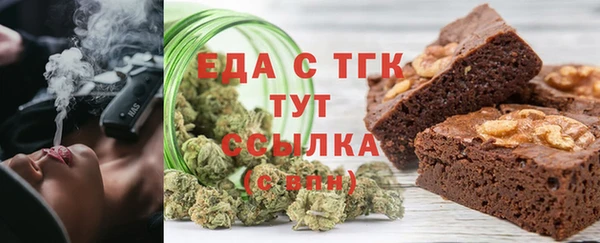 хмурый Пересвет